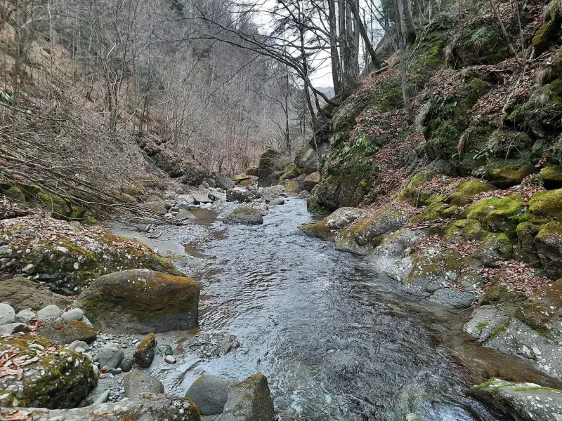 2026 – Anul reconectării adevărate: Cabana dintre Văi, destinația unică pentru retreat în inima naturii